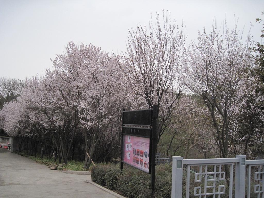 Fule Jiuzhou International Hotel Mianyang  Dış mekan fotoğraf